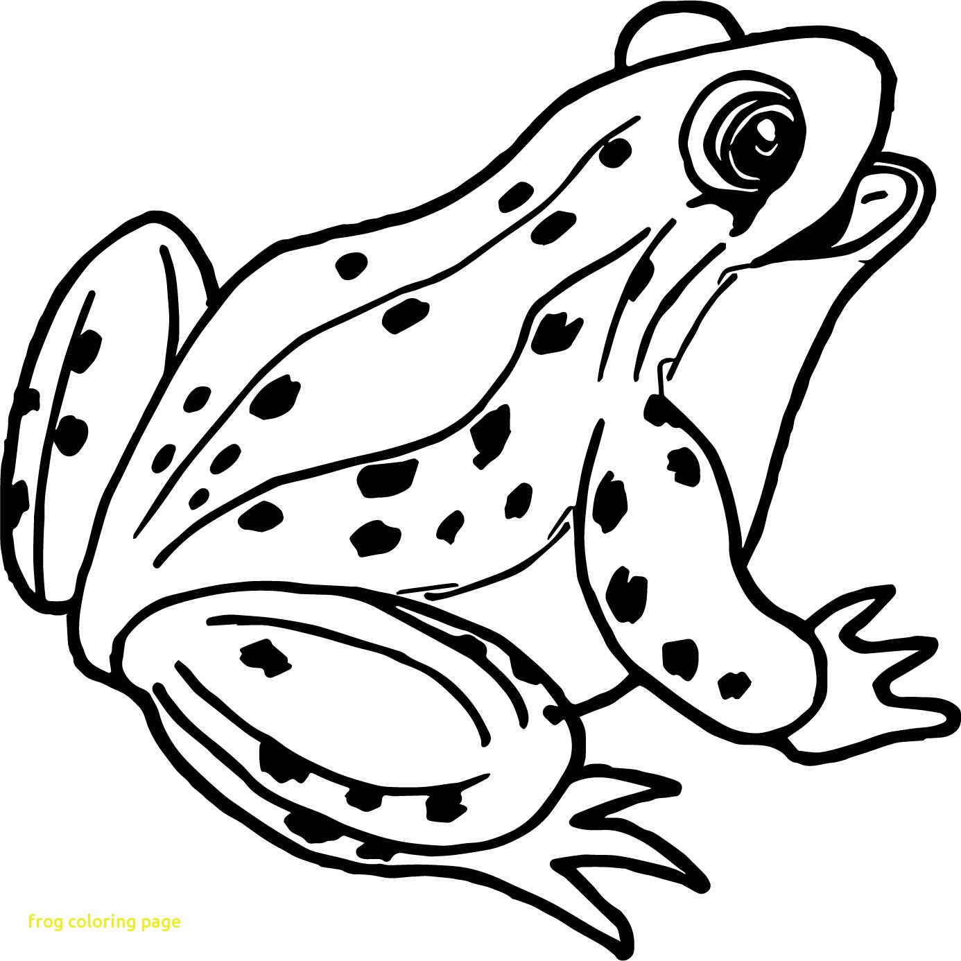 Spotlight Realistic Frog Coloring Pages Frogs 1386x1386 Spotlight Realistic Frog Coloring Pages Frogs