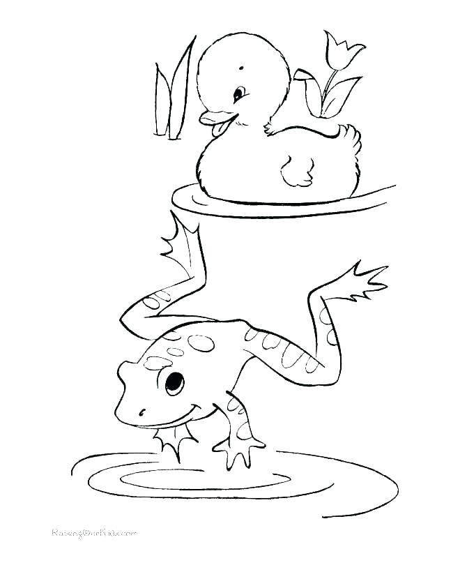 Realistic Frog Coloring Pages Coloring Design 670x820 Realistic Frog Coloring Pages Coloring Design