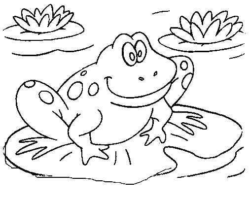 Coloring Pages Frog Best Frog Coloring Pages Ideas On Realistic 507x408 Coloring Pages Frog Best Frog Coloring Pages Ideas On Realistic