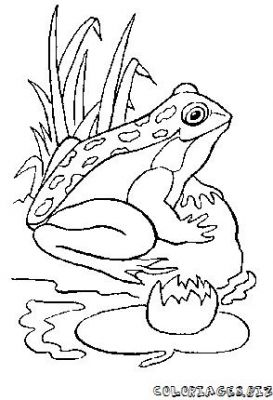 Coloring Pages For Kids To Print 273x400 Coloring Pages For Kids To Print