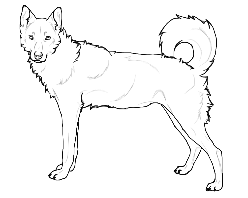 1000x800 German Shepherd Dogs Coloring Page Free Printable Pages Beautiful