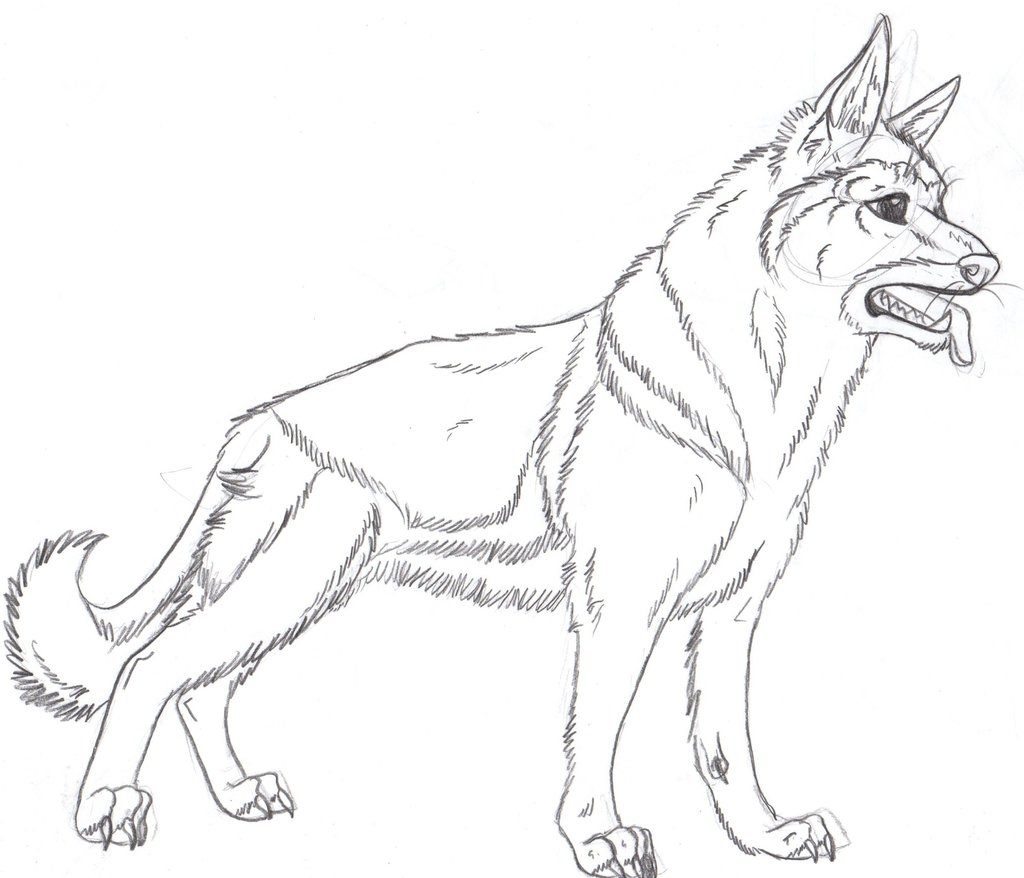 1024x878 Lovely German Shepherd Coloring Pages 70 In Coloring Site