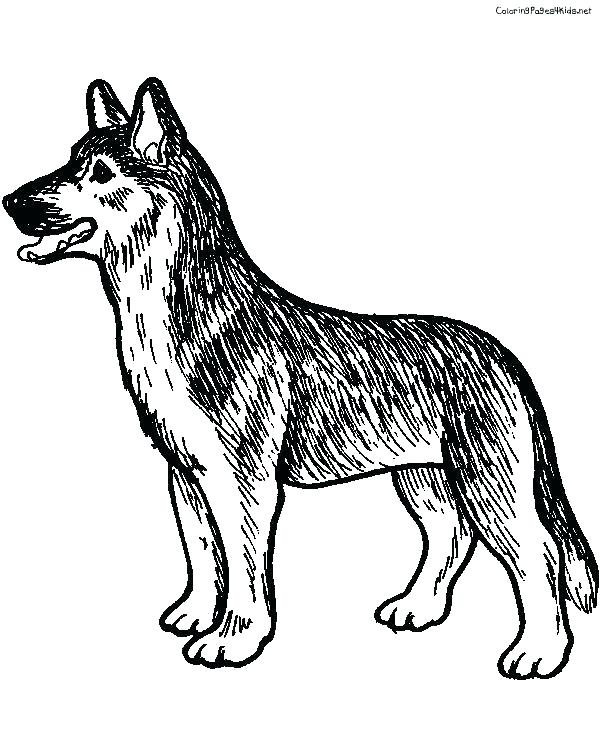 600x756 German Shepherd Coloring Page Drawn Shepherd Coloring Page Pencil