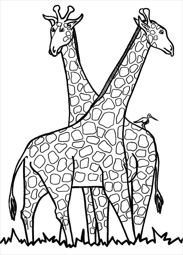 Giraffe Coloring Pages 600x835 Giraffe Coloring Pages