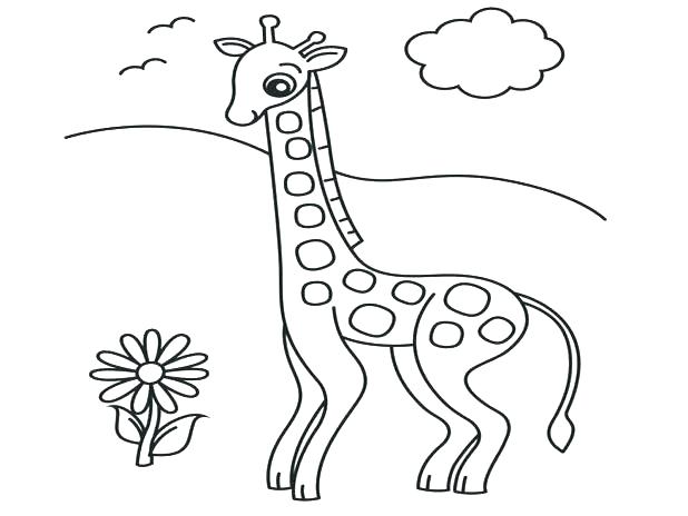 Giraffe Coloring Pages Giraffe Coloring Page Realistic Giraffe 618x464 Giraffe Coloring Pages Giraffe Coloring Page Realistic Giraffe