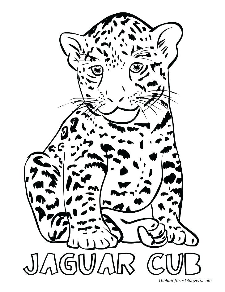Realistic Animal Coloring Pages Woodland Animals Coloring Pages 728x942 Realistic Animal Coloring Pages Woodland Animals Coloring Pages