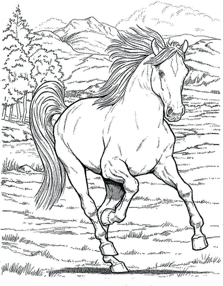 Horse Coloring Page Horse Coloring Pages For Girls Printable Kids 736x945 Horse Coloring Page Horse Coloring Pages For Girls Printable Kids