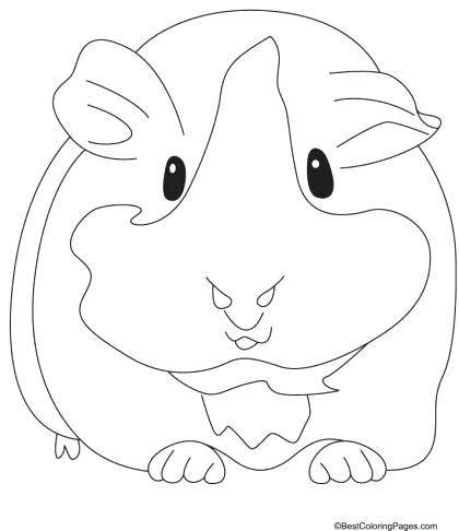 Guinea Pig Coloring Page Guinea Pig Coloring Pages To Print 420x486 Guinea Pig Coloring Page Guinea Pig Coloring Pages To Print