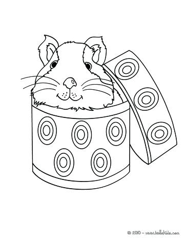 Guinea Pig Coloring Page Outstanding Guinea Pig Coloring Pages 363x470 Guinea Pig Coloring Page Outstanding Guinea Pig Coloring Pages