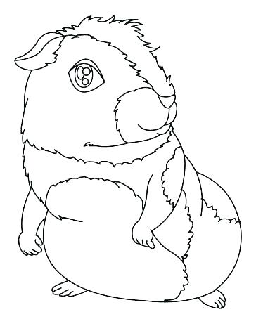 Guinea Pig Coloring Pages Guinea Pig Coloring Pages Guinea Pig 364x444 Guinea Pig Coloring Pages Guinea Pig Coloring Pages Guinea Pig