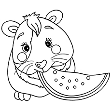 Top 25 Free Printable Guinea Pig Coloring Pages Online 230x230 Top 25 Free Printable Guinea Pig Coloring Pages Online