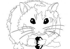 296x210 Realistic Hamster Coloring Pages. Zhu Zhu Pets Coloring Picture My
