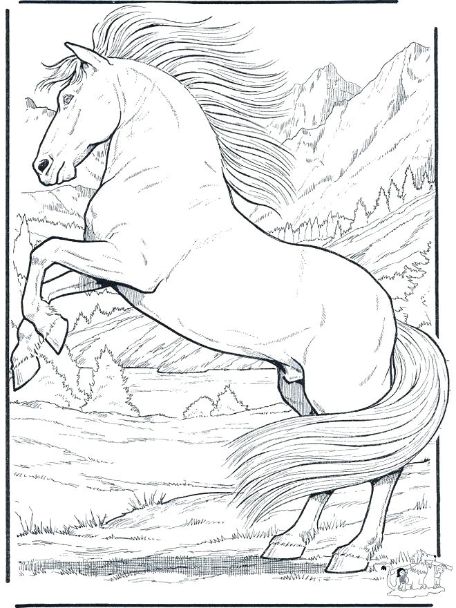Horses Coloring Pages Realistic Horse Coloring Pages Horse 660x880 Horses Coloring Pages Realistic Horse Coloring Pages Horse