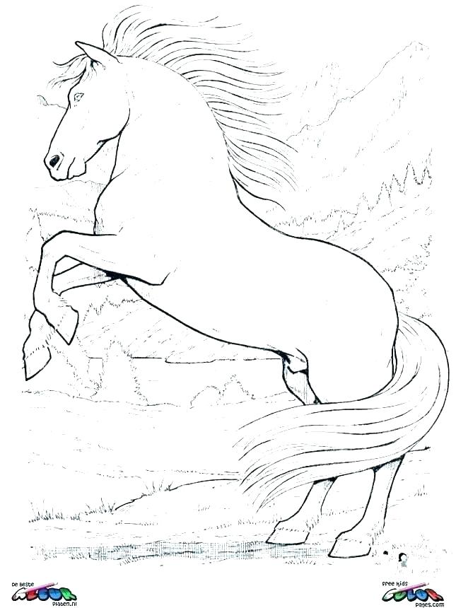 Mustang Horse Coloring Pages Printable Wild Horse Coloring Pages 645x860 Mustang Horse Coloring Pages Printable Wild Horse Coloring Pages