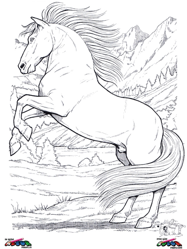 Realistic Horse Coloring Pages Horses Coloring Page 645x860 Realistic Horse Coloring Pages Horses Coloring Page
