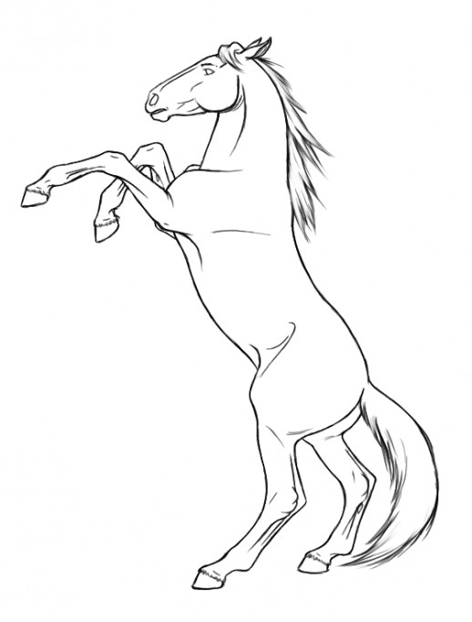Realistic Horse Coloring Pages Horse Coloring Pages For Free 22501 518x682 Realistic Horse Coloring Pages Horse Coloring Pages For Free 22501