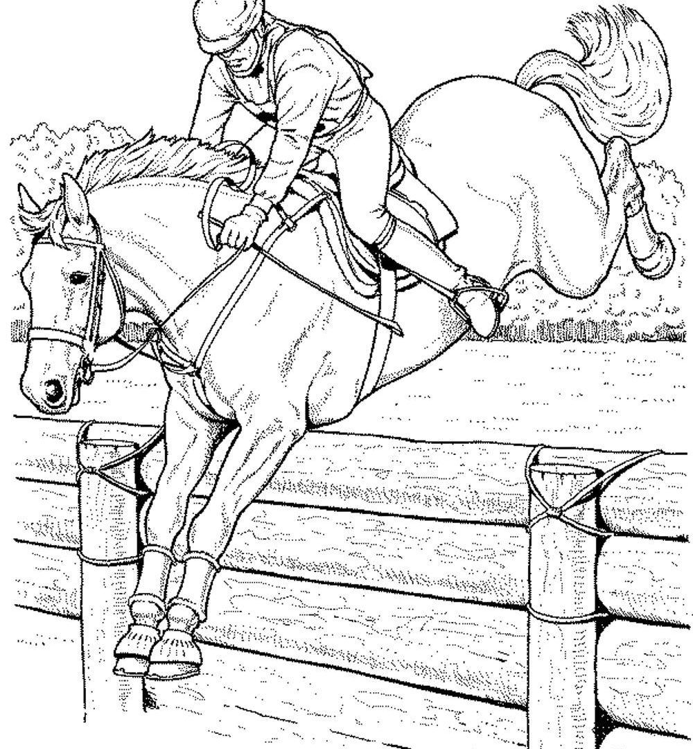 Free Coloring Pages Printable Horse - Printable Online