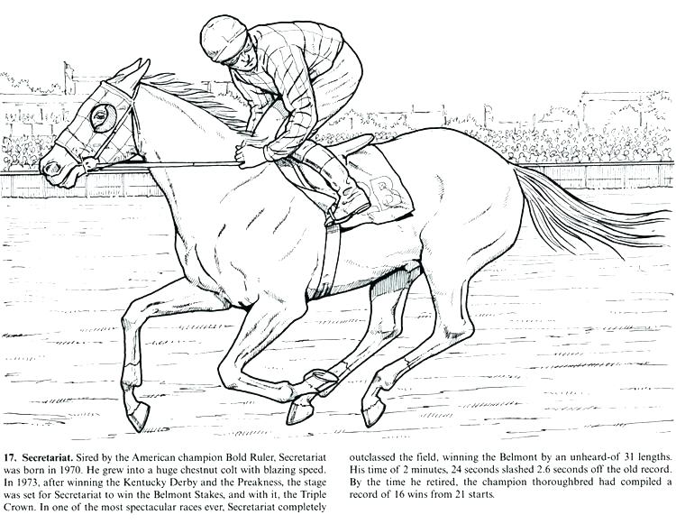 Marvelous Horse Coloring Pages For Adults 750x581 Marvelous Horse Coloring Pages For Adults