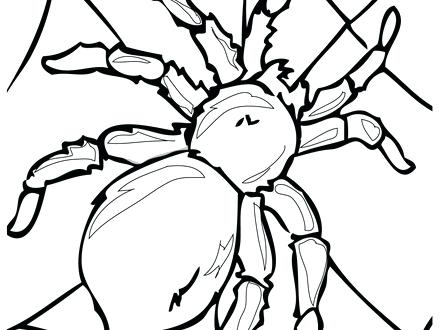 440x330 Insect Coloring Book Plus Free Printable Insect Coloring Pages