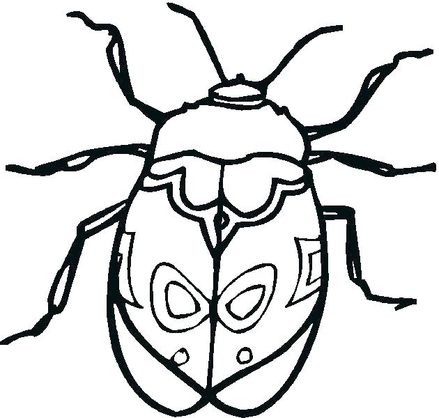 630x600 Insect Coloring Insect Coloring Pages Markholland.co
