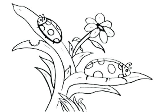 500x363 Insect Coloring Page Insect Coloring Sheets For Preschoolers