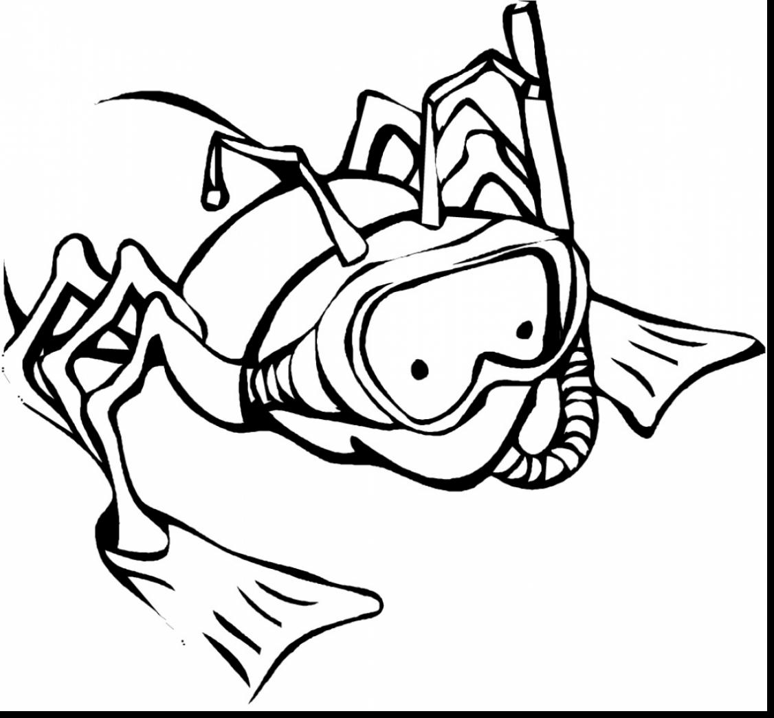 1126x1045 Insect Coloring Pages
