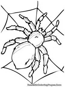 216x288 Insect Coloring Pages To Print