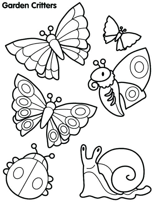 520x659 Insect Coloring Page