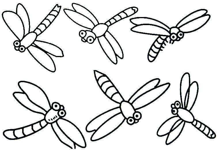 764x520 Coloring Pages Of Insects Realistic Dragonfly Coloring Pages