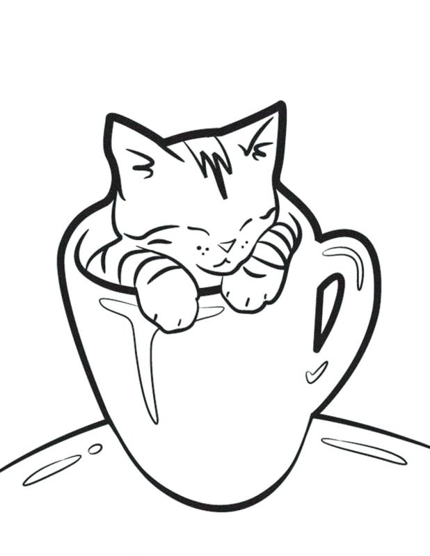 618x799 Cutest Kitten Coloring Pages Cute Free Printable Realistic Of Cats