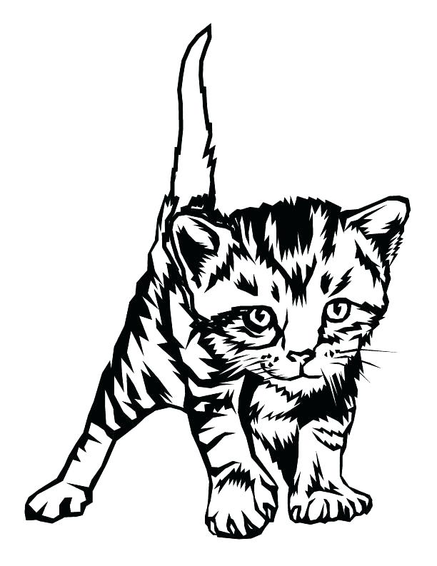 612x793 Cute Kitten Coloring Pages Cute Kitten Coloring Pages Cute