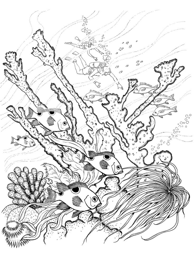 736x980 Realistic Lighthouse Coloring Pages 337191