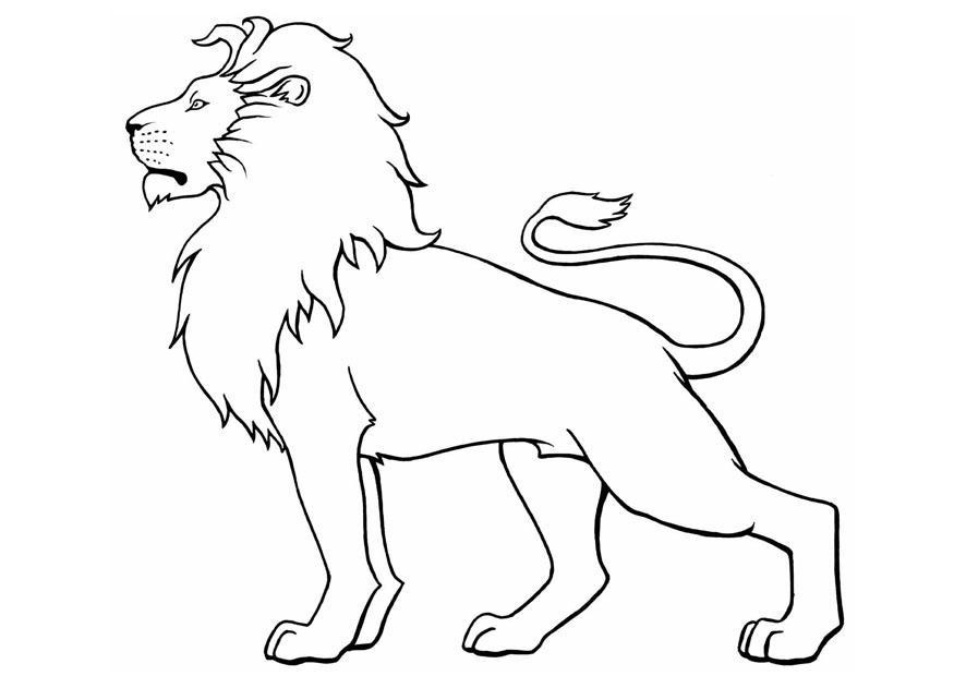875x620 Lion Coloring Pages Printable