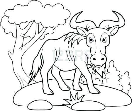 450x379 Wildebeest Coloring Pages Free Printable Realistic Lion Coloring