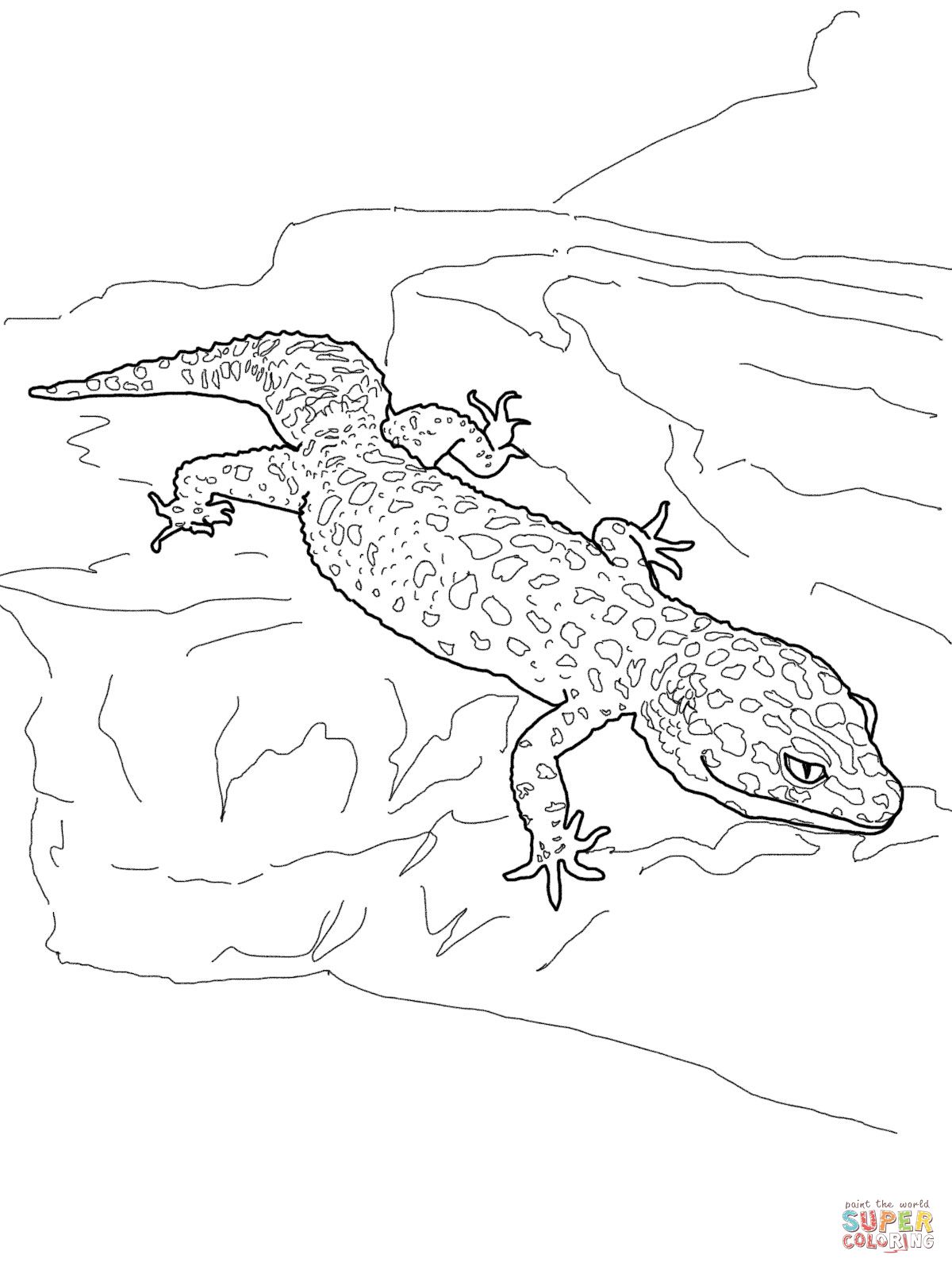 Leopard Gecko Coloring Page Gecko 1200x1600 Leopard Gecko Coloring Page Gecko