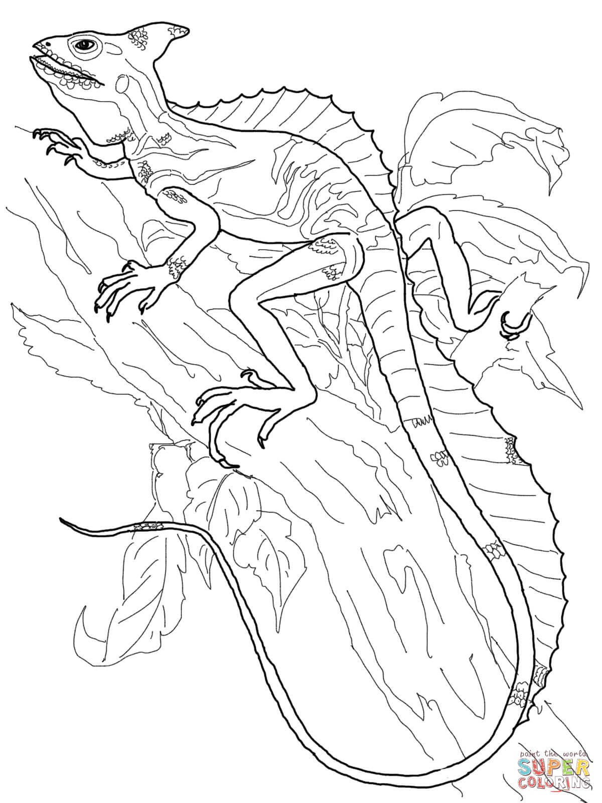 Basilisk Lizard Coloring Page Free Printable Coloring Pages 1200x1600 Basilisk Lizard Coloring Page Free Printable Coloring Pages