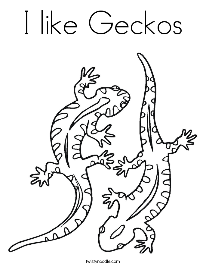 Cartoon Gecko Coloring Pages Download And Print For Free 685x886 Cartoon Gecko Coloring Pages Download And Print For Free