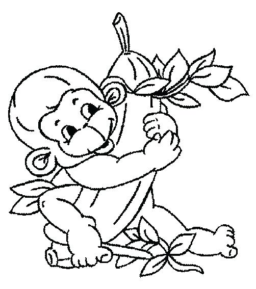 Cute Monkey Coloring Pages Monkey Coloring Pages Printable Monkey 502x567 Cute Monkey Coloring Pages Monkey Coloring Pages Printable Monkey