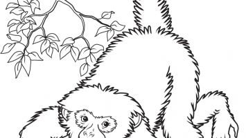 Fnaf Baby Coloring Pages Printable Coloring For Kids 2018 355x200 Fnaf Baby Coloring Pages Printable Coloring For Kids 2018