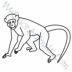 Monkey Coloring Pages 300x300 Monkey Coloring Pages