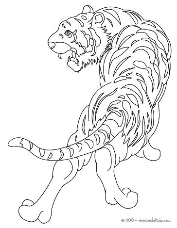 Wild Animal Coloring Pages As Well As Large Size Of Coloring Pages 364x470 Wild Animal Coloring Pages As Well As Large Size Of Coloring Pages