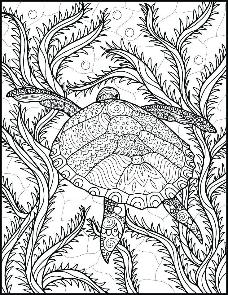 736x952 Ocean Life Coloring Pages Best Sea Creatures Coloring Page
