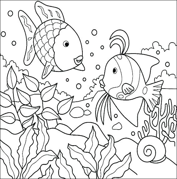 567x572 Printable Ocean Coloring Pages Talantbekovme Printable Ocean