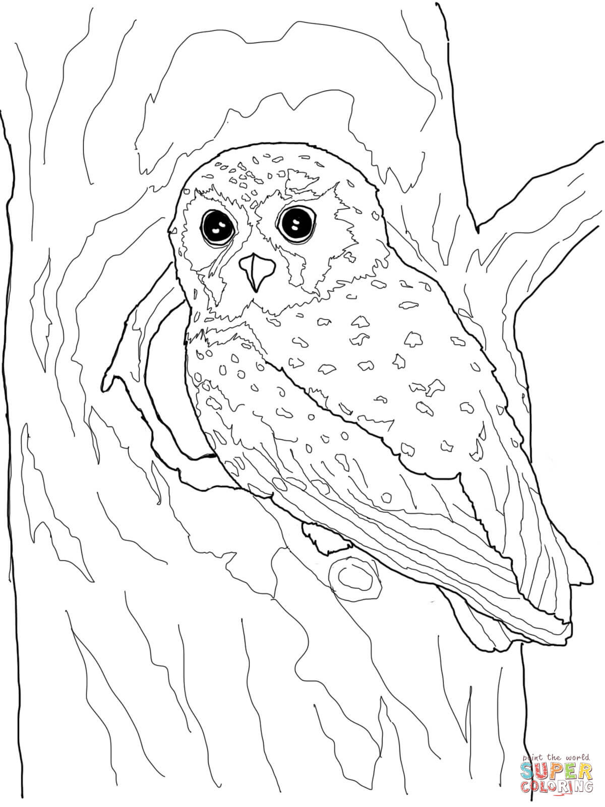 Owls Coloring Pages Free For Alluring Realistic Owl Wagashiya 1200x1600 Owls Coloring Pages Free For Alluring Realistic Owl Wagashiya