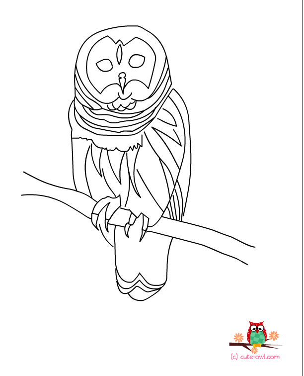 Free Printable Owl Coloring Pages For Kids 612x756 Free Printable Owl Coloring Pages For Kids