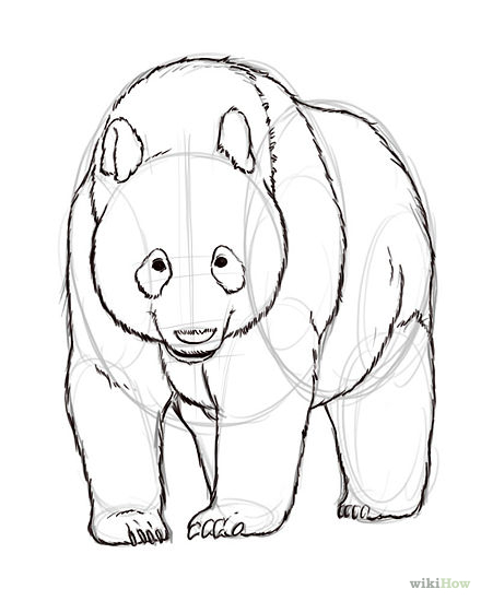 440x550 Free Coloring Pages Of Panda Outline