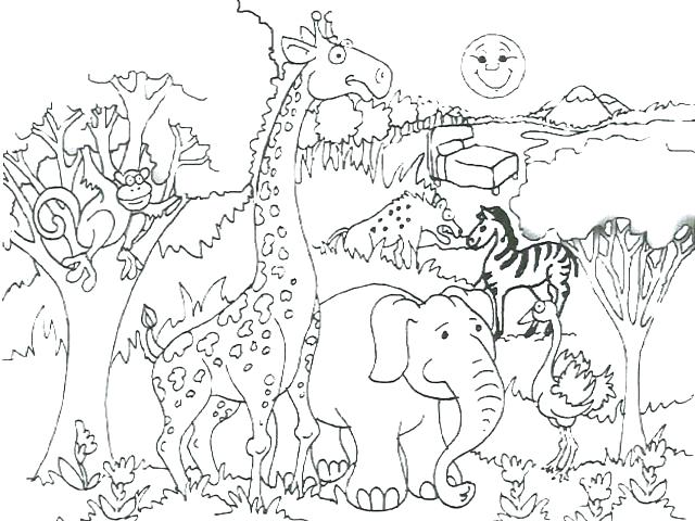 640x480 Realistic Animal Coloring Pages Forest Animal Coloring Pages Zoo