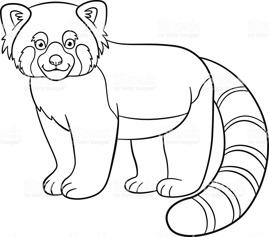 1024x901 Realistic Red Panda Coloring Page Free Printable Pages Throughout