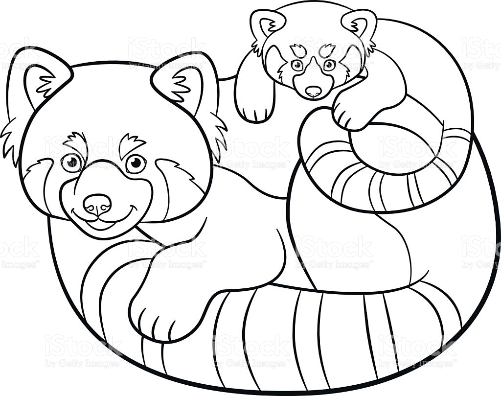 1024x809 Red Panda Coloring Pages Mother With Her Baby Stock Vector Art