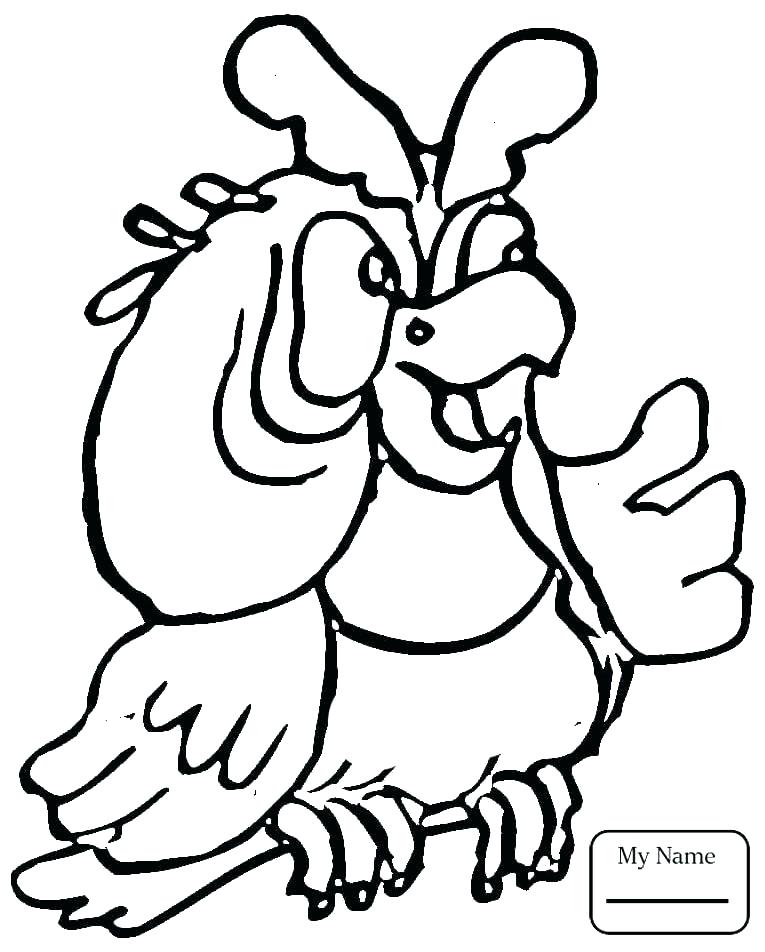 765x952 Parrot Coloring Page Coloring Pages Of Parrots Big Parrot Coloring
